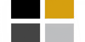 TC Young Professionals